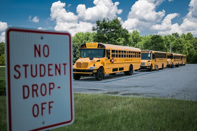 Asian bus gopers